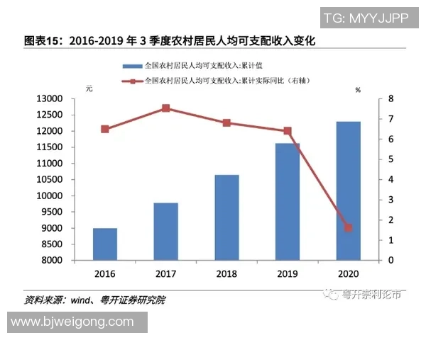 重庆篮球队的运营策略与市场潜力深度解析